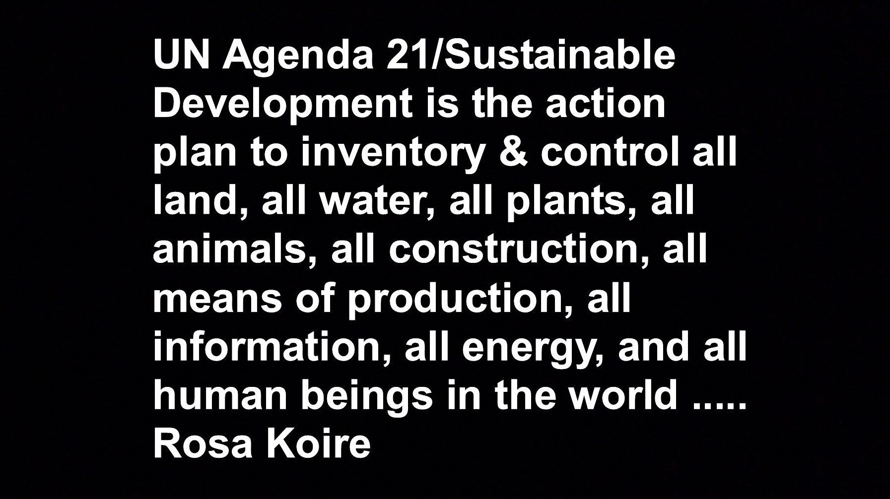 text outlining aims of Agenda 21