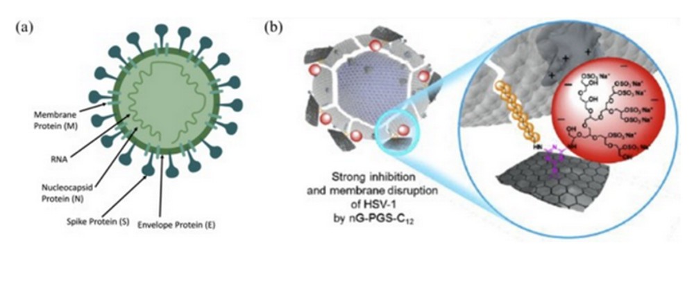 Doctors discover Graphene is being transmitted from the COVID Vaccinated to the Unvaccinated destroying Blood Cells causing Blood Clots