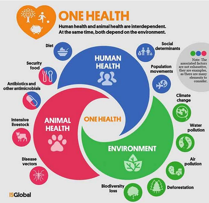 Mercola1.The WHO Can Mandate Vaccines Globally