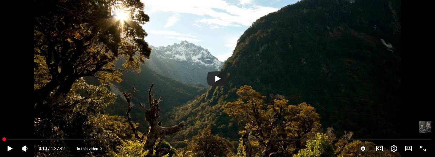 Screenshot 2026 04 10 at 16 49 50 2 Poisoning Paradise   Ecocide New Zealand   Festival Version   YouTube