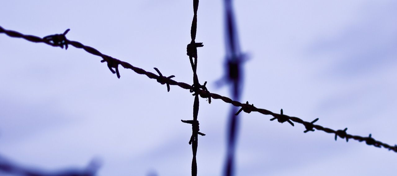 barbed wire