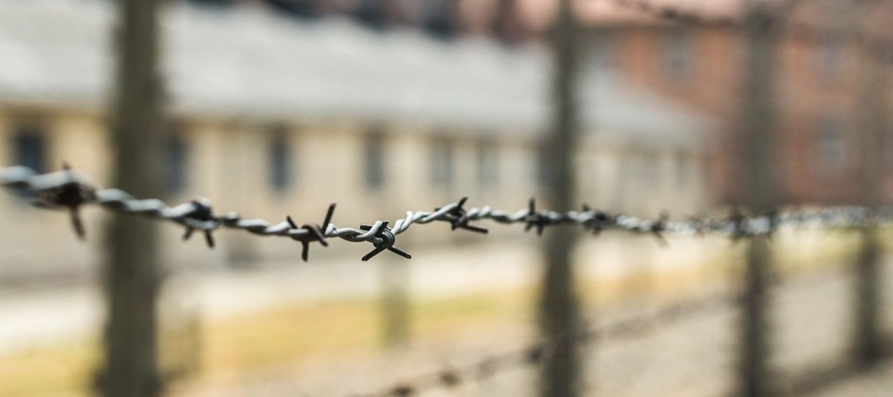 barbed wire fence pixabay