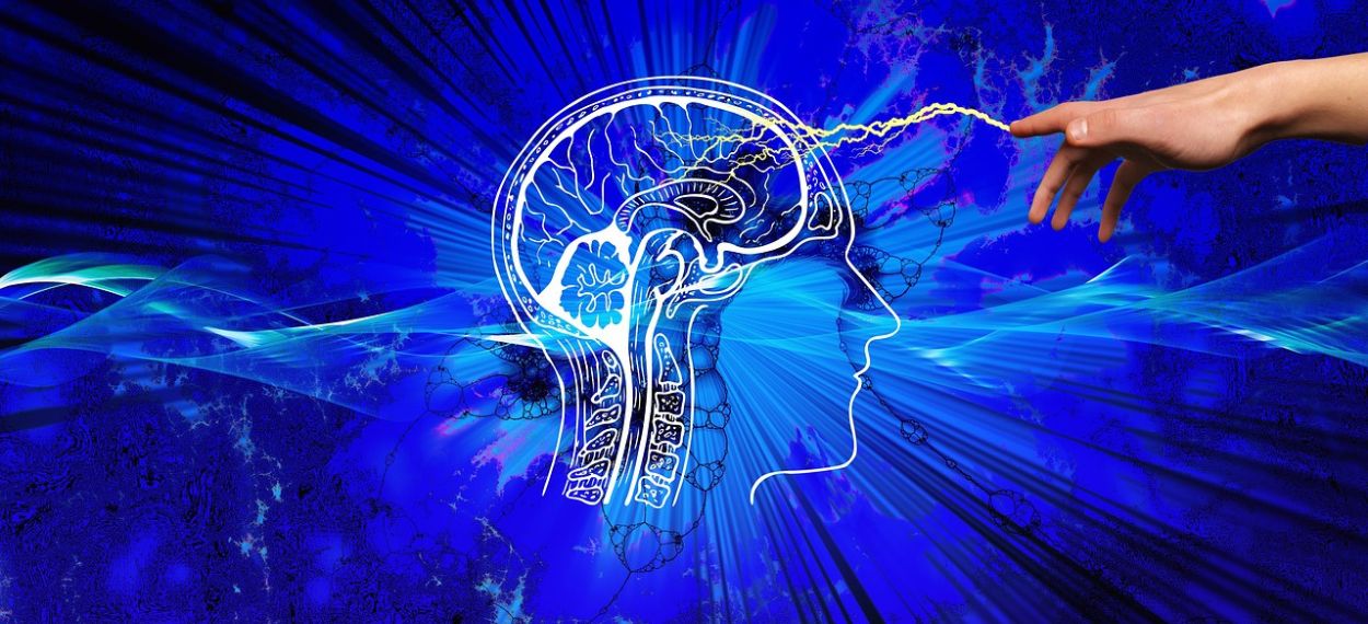 brain.hand image by geralt at pixabay