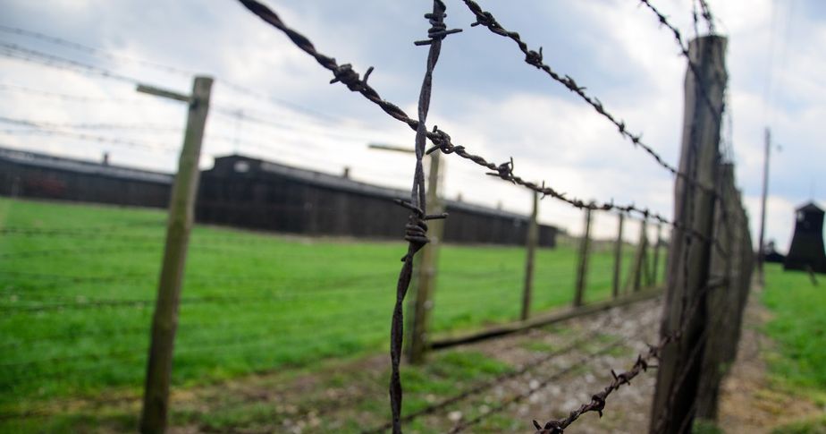 barbed wire camp