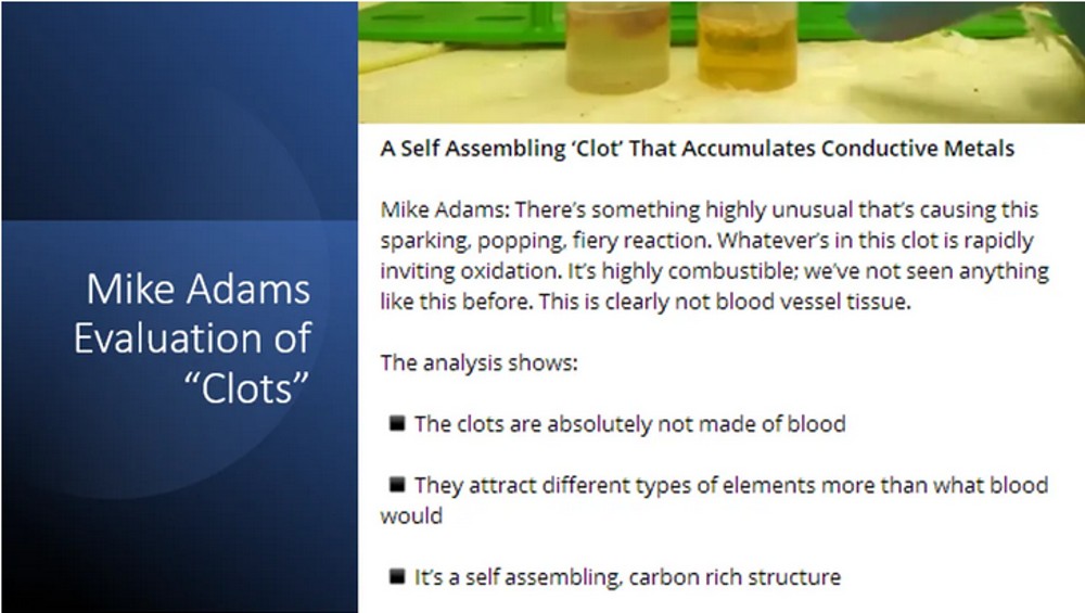 Screenshot 2022 12 30 at 16 02 10 Synthetic Biological Life Forms Cross Domain Bacteria Morgellons and Correlation to Current Live Blood Findings in Post C19 Injection Era My Conversation with Clifford Carnicom